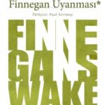 Finnegan Uyanması: Yeni bir anlam arayışı | Tekin Budakoglu