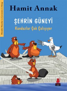 Sehrin Güneyi72