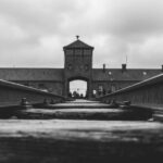 Auschwitz’den ‘insan’ manzaraları… | Burak Soyer