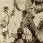 Osmanlı-Arap ilişkileri üzerine temel bir eser