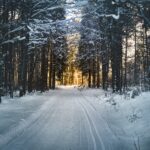 Öykü: Bir kış gecesi intiharı | Feride Cihan Göktan
