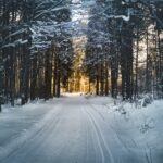 Kış: Bir Mevsimin Tarihi | Murat Erdin