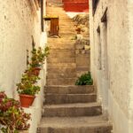 Öykü: Merdiven | Simran Kadim