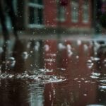 Öykü: Yağmur | Melis Tekin Akçin