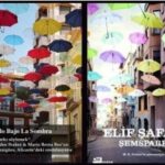 Elif Şafak, kitap kapağındaki intihal iddialarına yanıt verdi