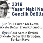 2018 Yaşar Nabi Nayır Gençlik Ödülleri açıklandı