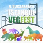 İstanbul Vegfest 28 Ekim’de