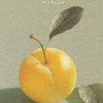 Menekşe Gülben'in ilk romanı Beygül raflarda