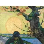 Gölgelerin Ardındaki İzler: Sessiz Hayatların Güçlü Hikâyeleri | Lina Yalınçay