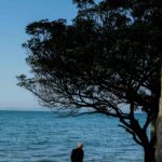 Öykü: Asimetrik | Yunus Çinçin