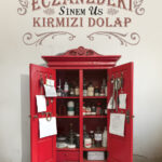 Sinem Us'tan Eczacılık tarihinden öyküler