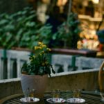 Öykü: Belleğin ayak izleri | Ümran Pekşen