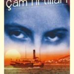 Mahmut Yesari'nin kült eseri Çam Tırtılları kitap bütünlüğünde raflarda