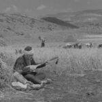 Karanlık Dünya'nın Dünyası: 1950'lerin Kültürel İkliminde Sinema söyleşisi 4 Kasım'da