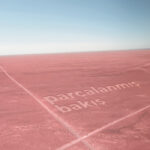 Günün önerisi: Parçalanmış Bakış