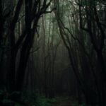 Öykü: Böceklerin kraliçesi | Feraye Gün