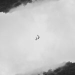 Benliğin Kodları: Whitman’dan Walter Mitty’e Dijital Kozmosun Şarkısı | Sinem Uğurlar