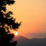 Öykü: Kemik | Emel Zehra Tunçinan