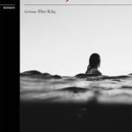 Yükseliş: Türüne Mesafeli Bir Okur İçin Sürpriz Bir Keşif | Özlem Sipahioğlu