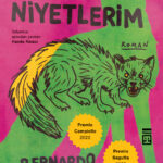 Bilinçlenmenin laneti üzerine: Benim Aptal Niyetlerim | Caner Almaz