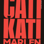 Marlen Haushofer'den modern bir klasik: Çatı Katı