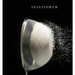 Skomsvold’un Sırtı Dünyaya Dönük Yazını  | Nihan Feyza Lezgioğlu