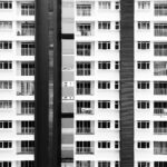 Öykü: Güvercin meclisi | Samih Güven