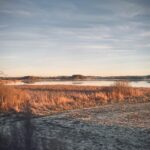 Aynı Toprağın Üç Renginde Kök, Arayış ve Samimiyet | Atakan Atabeyoğlu