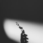 Sanatçının Tatlı İntiharı Acı ve Estetik Üzerine Bir Deneme | Ayşegün Korkmaz