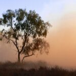 Öykü: İçimden geçenlerin içtenliğini bilseydin keşke | Ersin Kurt