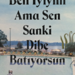 Believer Kitap Ödülü finalisti ve Center for Fiction İlk Roman Ödülü adayı Leyna Krow'dan Ben İyiyi...