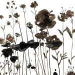 Selçuk Demirel’den Bir Varoluş Anlatısı: Gökyüzüyle Yüz Yüze