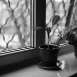 Öykü: Fısıldaşmalar | Hatice Göz