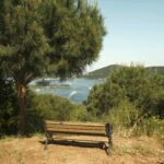 Öykü: Sait Faik’in Hayaleti - Hşt | Hakan Kaya