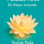 Yeşim Pala'dan aşk üzerine çarpıcı bir roman: Velenor İki Dünya Arasında