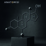 Testosteron: Bir Hormonun Anatomisi raflarda