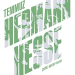 Hermann Hesse sıradan insanların gündelik yaşamlarını, abartıdan uzak, incelikli bir gerçekçilikle a...