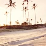 Öykü: Hayat bu | Ayça Kortan