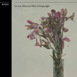 Kusursuz Görünen Hayatların İçindeki Boşluk |  Özlem Sipahioğlu