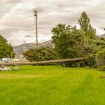 “Katliamdan Sonra Büyüyen Gelecek: Evrenin Kendini Yeniden Yazma Denemesi” | Sinem Uğurlar