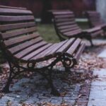 Öykü: Bir bank | Ayça Kortan