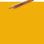 Düalizmin Çatallanması: Ümit Erdem’in Turnikeden Sonra Kitabında Eşik, Beden ve Mekân | Barış Ağır