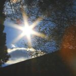 Öykü: Güneş Yüzünden | Yelin Bilgin