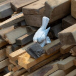 Arter’in Hayalet Kuartet Sergisi’nde Aykan Safoğlu Eşliğinde Tur, 17 Mart’ta