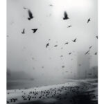 Cem Tunçer’in kusursuz görünen bir kadın ve işsiz bir yazarın hikâyesini “yeniden” anlattığı novella...