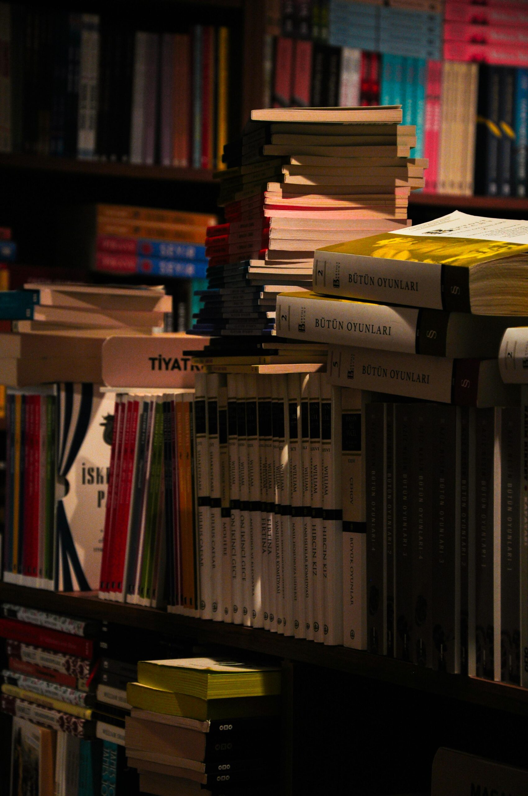 Küçürek Bir Okuma: Yağmur Kuşları | Seda Deniz