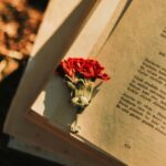 Unutulmuş Şairler Köşesi: Giriş | Berkay Şen