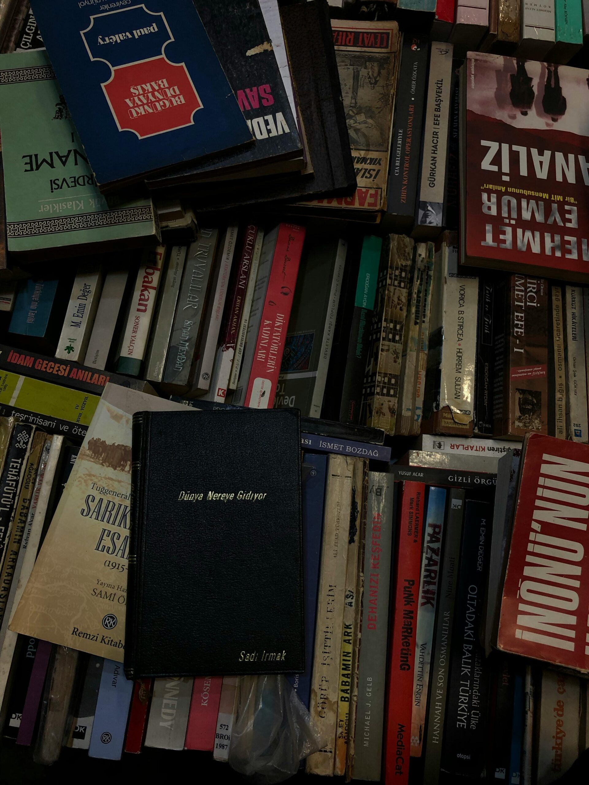 Yayıncılıkta Paradigma Değişimi: Açık Erişim ve Yeni Medya Ekonomisi | Sinem Uğurlar