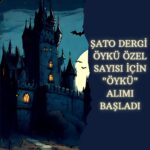 Şato Dergi Temmuz -Ağustos sayısı için eser almaya devam ediyor