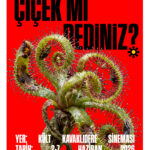 29. Uçan Süpürge Uluslararası Kadın Filmleri Festivali başlıyor